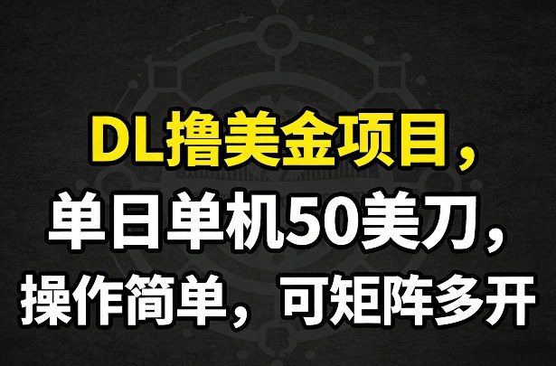 DL撸美金项目，单日单机50美刀，操作简单，可矩阵多开-网创阁